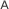 Primary Raster logo